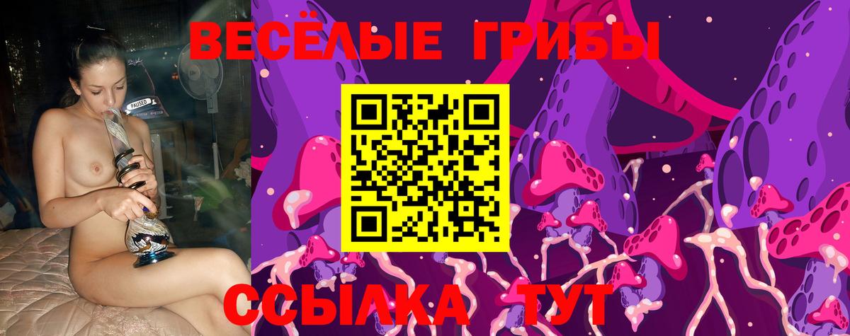 Нефтекамск  купить наркотик  Вход с VPN  Псилоцибиновые грибы Psilocybe 